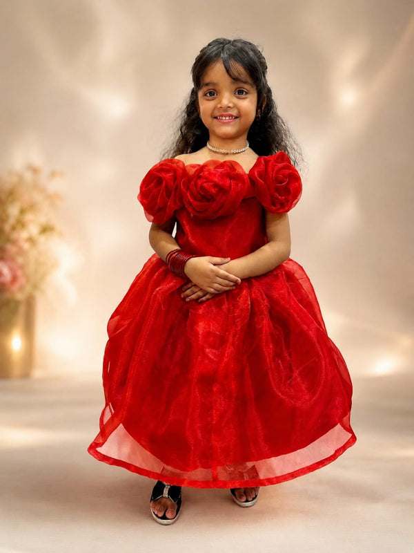 3D Rose Girls Frock